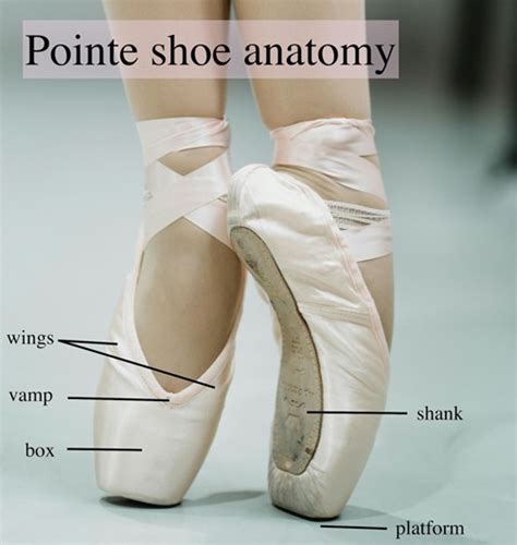 Pointe shoe - muktibox.com