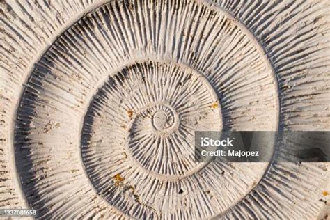 Pola di alam - Wikipedia bahasa Indonesia, … - wintechmobiles.com