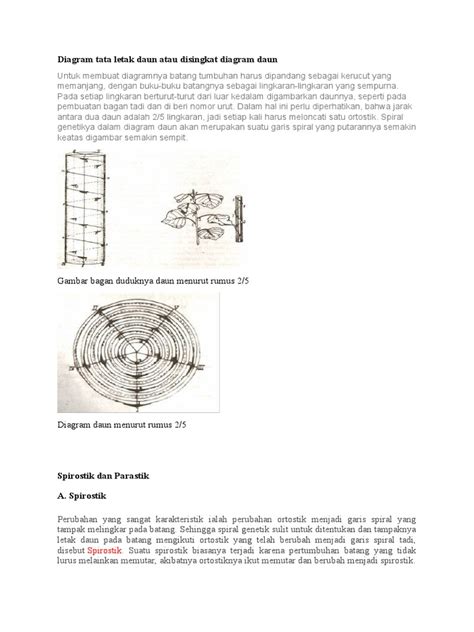 Pola Filotaksis dan Garis Parastich | PDF | Sains - wintechmobiles.com