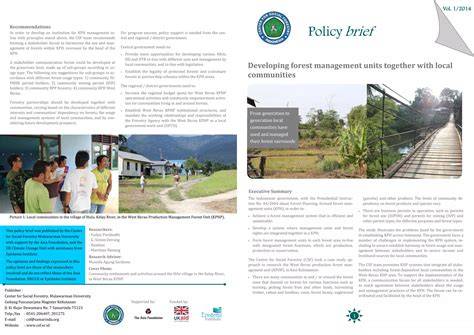 Policy Brief: Community-based Forestry - Extent, effectiveness and ... - raincitystudios.com