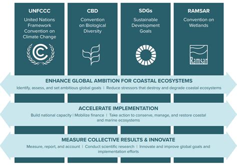 Policy Framework for Blue Carbon Ecosystems - raincitystudios.com