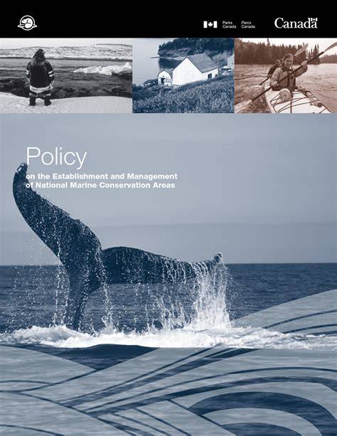 Policy on the establishment and management of national marine ... - raincitystudios.com