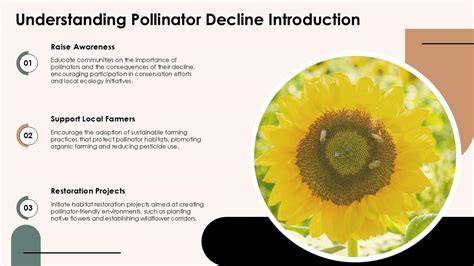 Pollinator decline - raincitystudios.com