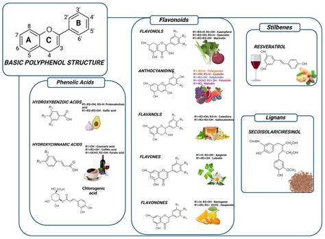 Polyphenolic Compounds and Biological Activities of … - raincitystudios.com