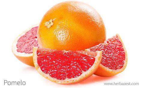 Pomelo - raincitystudios.com