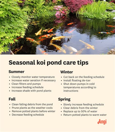 Pond Care & Accessories at Tractor Supply Co. - coolestguyplanet.net