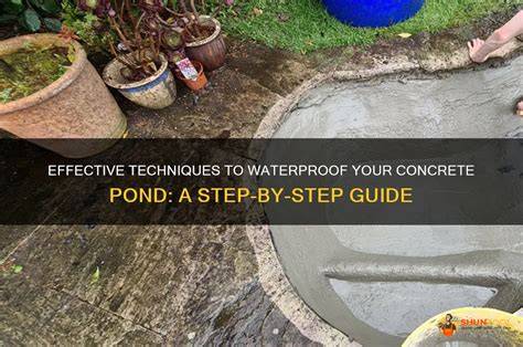 Pond Concrete Waterproofing: Essential Guide for Leak-Free Ponds - raincitystudios.com