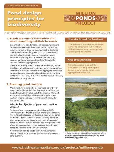 Pond design principles for biodiversity - raincitystudios.com