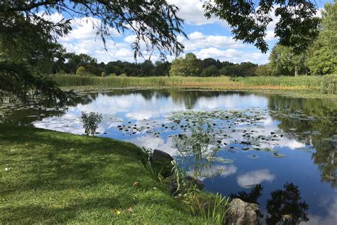 POND MANAGEMENT - Extension