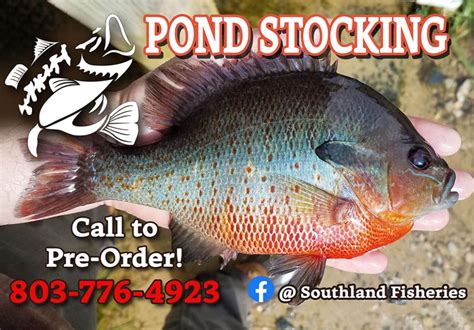 POND STOCKING Fish Day WEDNESDAY in Aberdeen, MS - farm