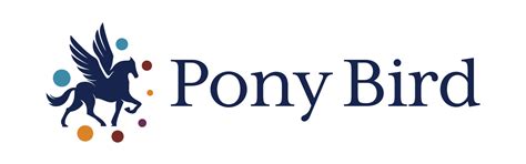 PONY BIRD INCORPORATED NPI 1629198031