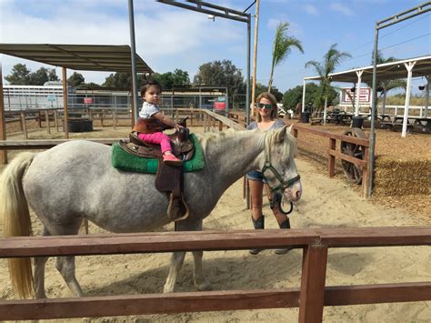 PONY LAND SAN DIEGO - 585 Photos & 381 Reviews