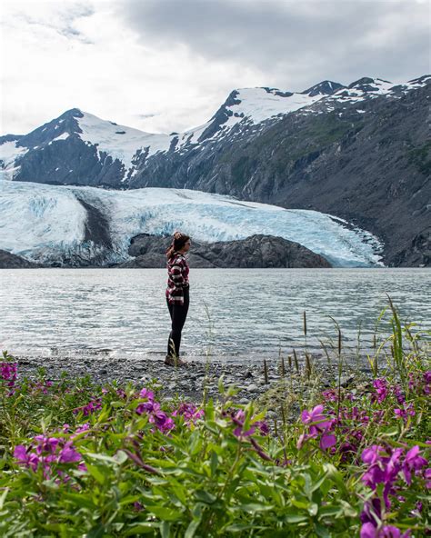 codini.rgarabwor.edu.pl. 