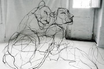 Portuguese artist makes wire animal sculptures that look just like ... - muktibox.com
