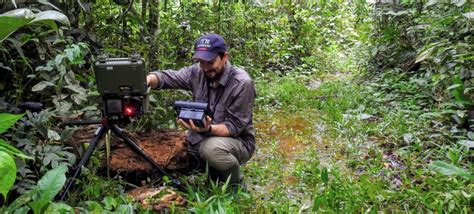 Position at Detroit Institute of Arts: conservation scientist - muktibox.com