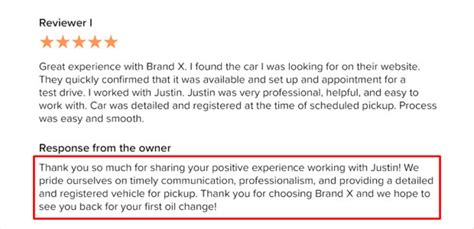 Positive review responses: Examples and best practices - coolestguyplanet.net