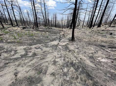 Post Wildfire | Ready for Wildfire - raincitystudios.com