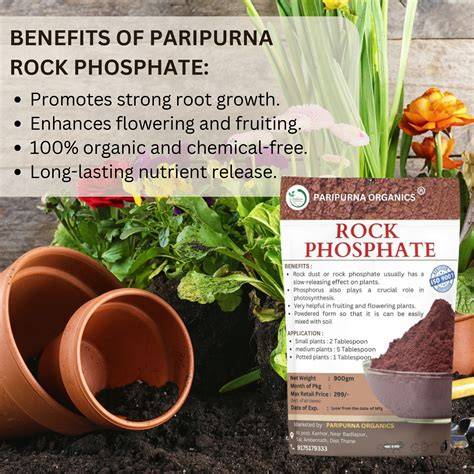 Post-Doc in organic activation of phosphate rock for: 597500 - raincitystudios.com