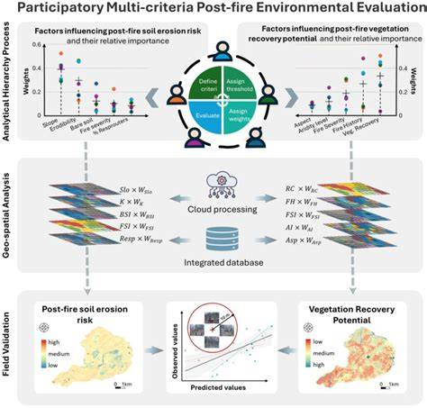 Post-fire environmental assessment: a participatory multi-criteria ... - raincitystudios.com
