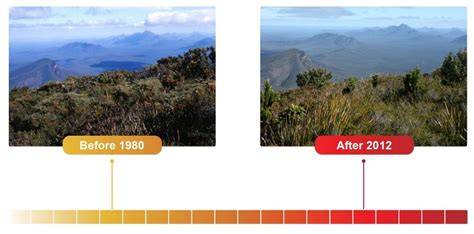 Post-fire recovery of threatened ecological communities - raincitystudios.com