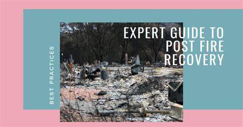 Post-Fire Recovery - US Forest Service - raincitystudios.com
