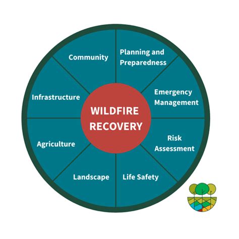 Post-Fire Recovery Resource Round Up - raincitystudios.com