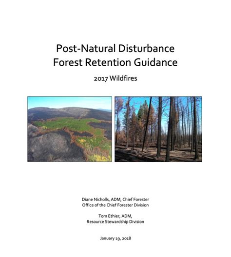 Post-Natural Disturbance Forest Retention Guidance 2017 Wildfires - raincitystudios.com