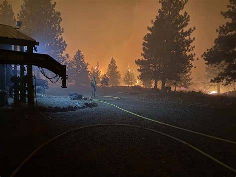 Post-Wildfire Forest Recovery Guide | Landowner Support - raincitystudios.com