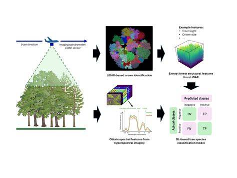 Postdoc in Data-driven Methods for Remote Sensing of Forests Using … - raincitystudios.com