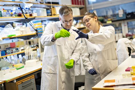 Postdoctoral Position in Chemical Engineering for Adsorption and ... - wintechmobiles.com