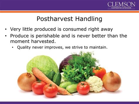 Postharvest Handling PowerPoint Presentation (2016) - raincitystudios.com