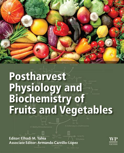 Postharvest Physiology and Vegetables - ResearchGate - muktibox.com