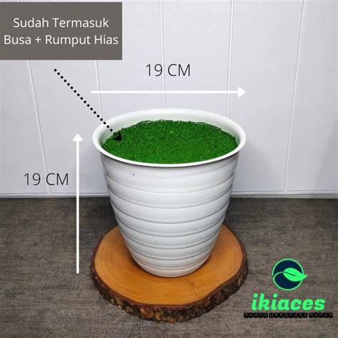POT PIRUS DIAMETER 20CM POT TIRUS TAWON POT TANAMAN ARTIFISIAL POT ... - raincitystudios.com