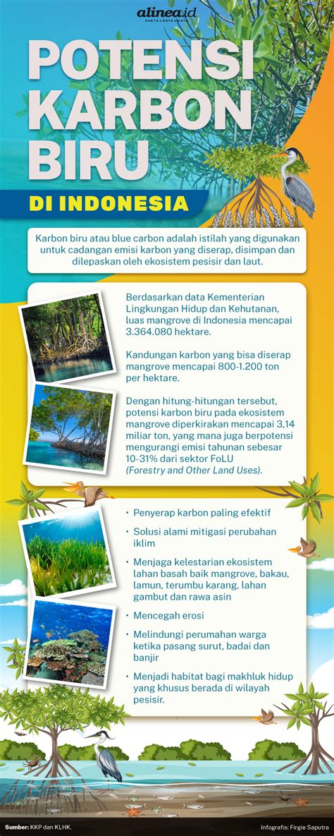 Potensi Blue Carbon Indonesia - Forest Digest - raincitystudios.com