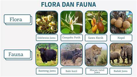 POTENSI FLORA DAN FAUNA - raincitystudios.com