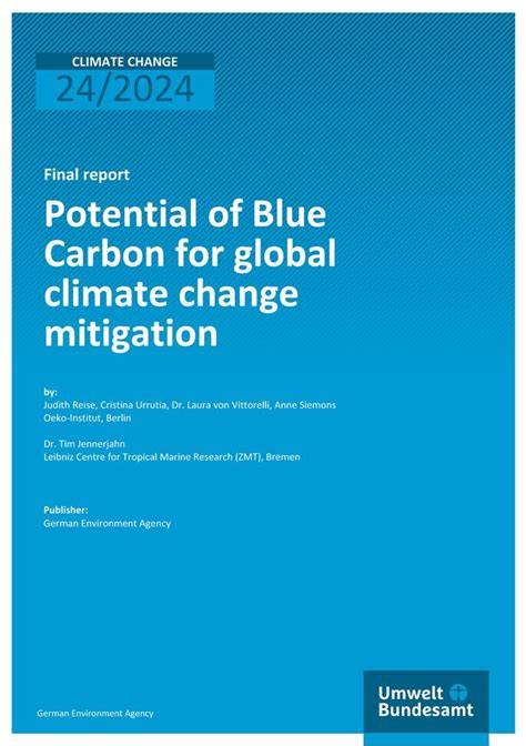 Potential of Blue Carbon for global climate change mitigation - raincitystudios.com