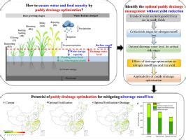 Potential of paddy drainage optimization to water and food security in ... - wintechmobiles.com