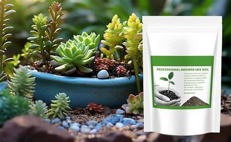 Potting Soil Mix- Optimal Blend for Healthy Plants | Lowe's - raincitystudios.com