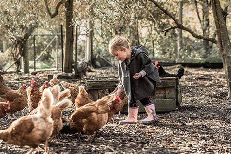 Poultry Care For Chickens, Ducks, Quails - Topflite NZ - raincitystudios.com