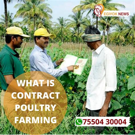 POULTRY CONTRACT FARMING - Daulat Farms - raincitystudios.com