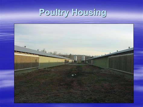Poultry Housing - Die Draadwerf - raincitystudios.com