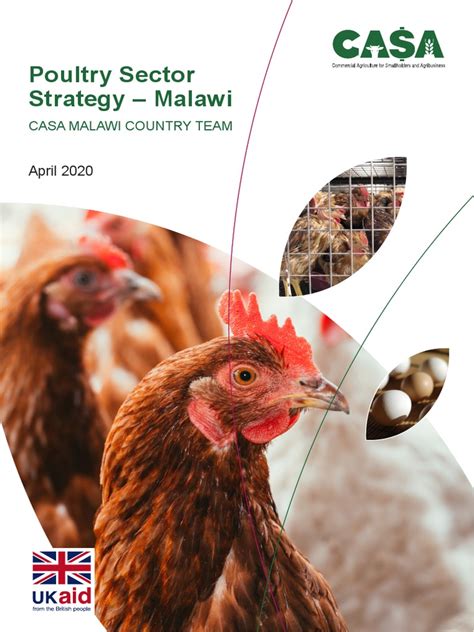 Poultry Sector Strategy – Malawi - CASA - raincitystudios.com