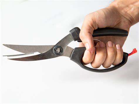 Poultry Shears & Chicken Scissors | WebstaurantStore - raincitystudios.com