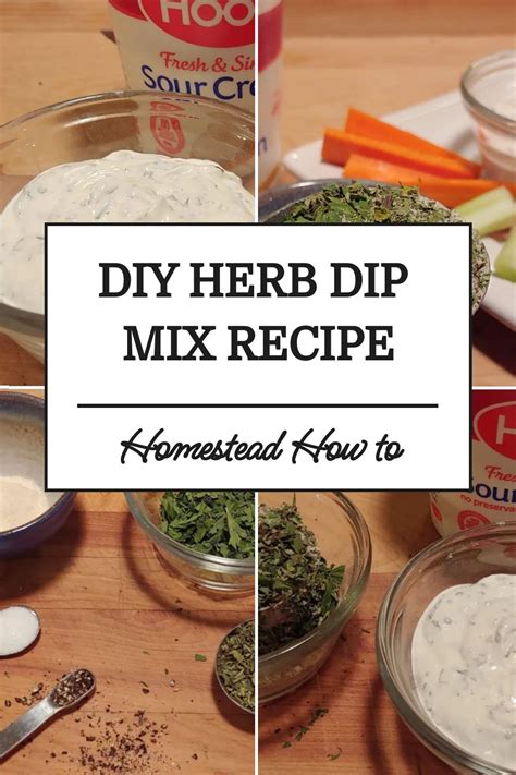 POWDERED DIP MIXES RECIPES All You Need is Food