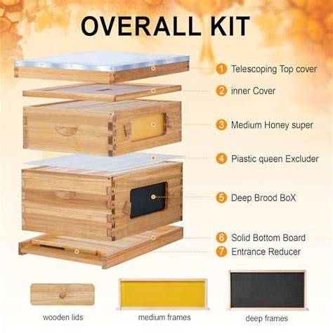 Powell hive box - Free native australian stingless bee … - raincitystudios.com