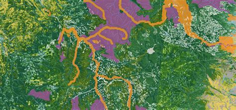 Power of GIS in Forest Management and Conservation - raincitystudios.com