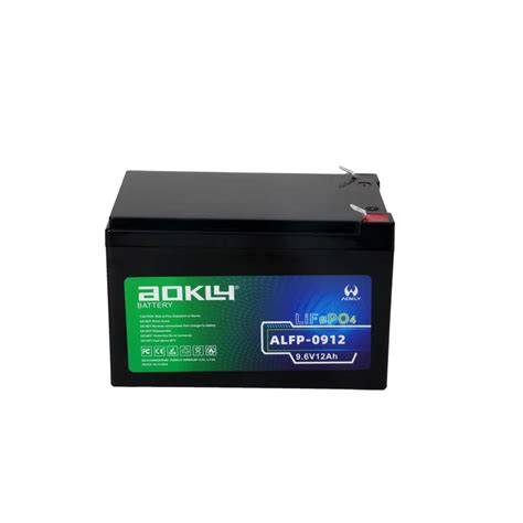 Powering Precision: Why 12V Lithium Batteries Excel in Professional ... - raincitystudios.com