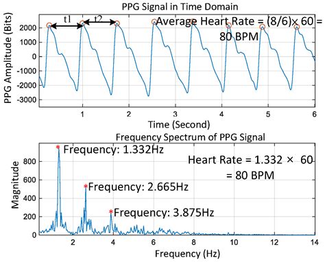 PPG-based Heart Rate Estimation with Efﬁcient …