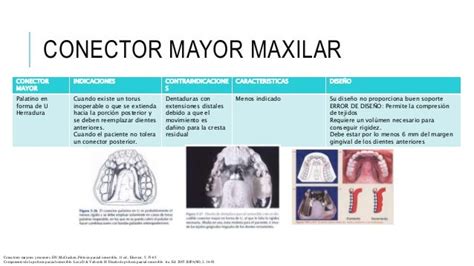 PPR CONECTOR MAYOR Y CONECTOR MENOR - SlideShare