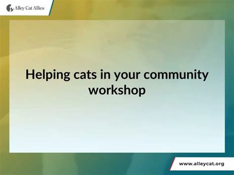 PPT - Community Cat Program PowerPoint Presentation, free …